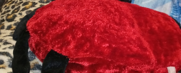 Ladybug in love plush - Picture 2 of 4